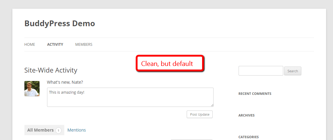 BuddyPress Theme Default