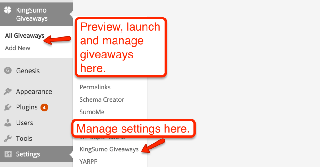 Launch & Manage KingSumo Giveaway