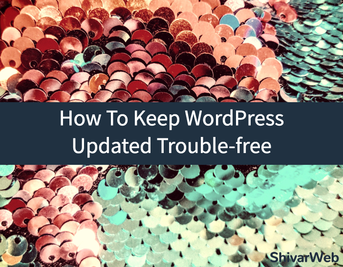 how-to-update-wordpress-plugins-without-trouble-video-tutorial