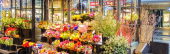 Build a Flower Shop Website: Templates, Design & DIY Setup