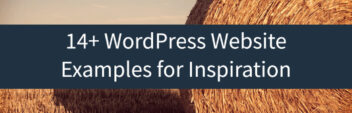 14+ WordPress Website Examples for Inspiration