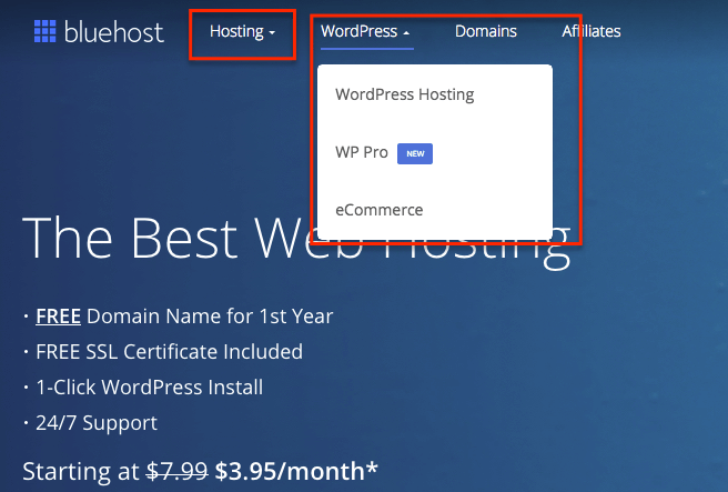 Bluehost Hosting Plans