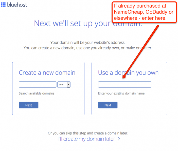 WordPress Setup Buying Domain Name