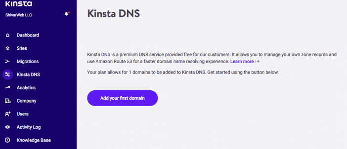 4 Kinsta Built-in DNS