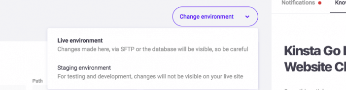 8 Kinsta Staging Environment