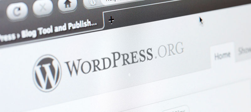 WordPress.org Landing page screenshot